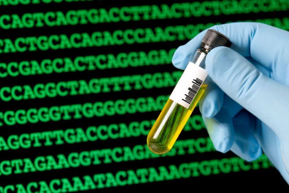 Illustration of genetic testing for Myotonic Dystrophy